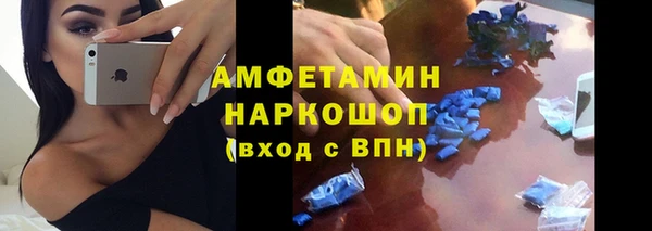 стафф Богданович