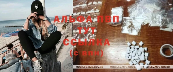 гидра Белокуриха