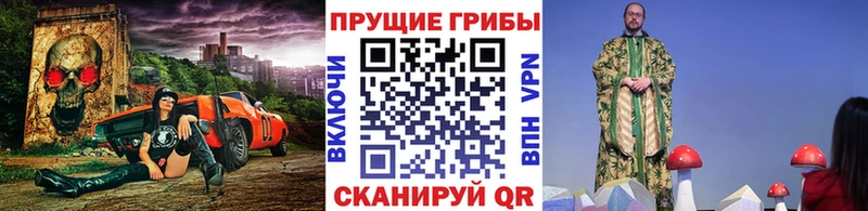 Купить где Ворсма Псилоцибиновые грибы мухоморы